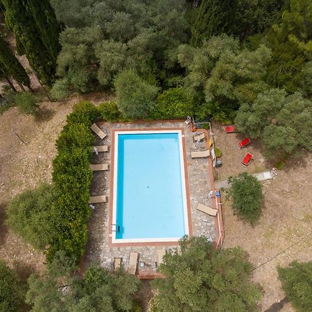Villa I Tigli Кампилья-Мариттима Экстерьер фото