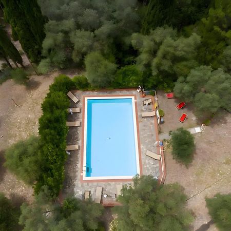 Villa I Tigli Кампилья-Мариттима Экстерьер фото